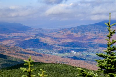 View from Mt Field