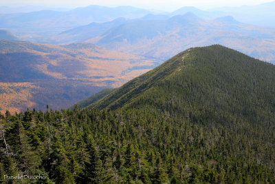 Signal Ridge
