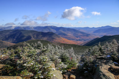 _MG_4705.jpg