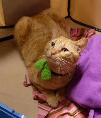 Stubbs 1 of 2.jpg