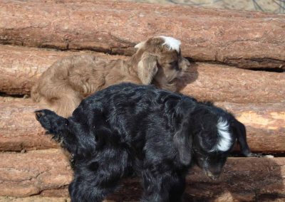 Just 72 hours old