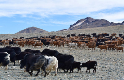 Images of Western Mongolia
