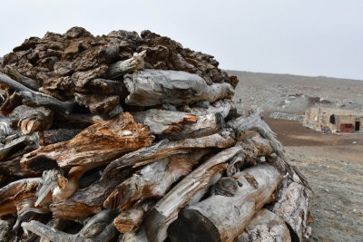 Winter firewood all set