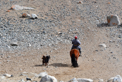 Herdsman now onto plains