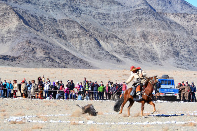 Eagle hunting competitor in action