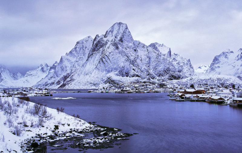 Steely Reine