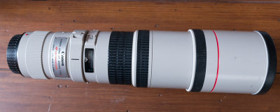 P1020256.jpg