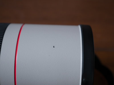 P1020260.jpg
