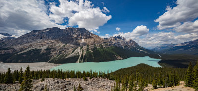 Peyto Lake Panoramic - July 2015