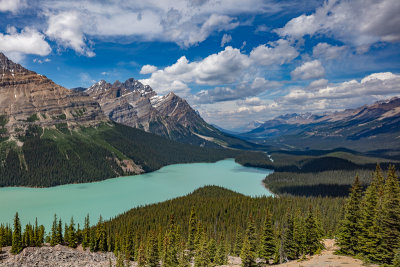 Peyto Lake - July 2015