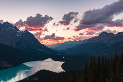 g10/02/782702/3/167617298.hVmkgiU5.jpg