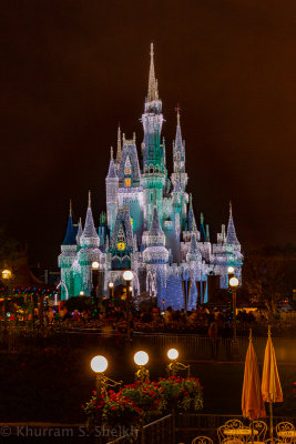 2012 Disney World-_I2C0006.jpg