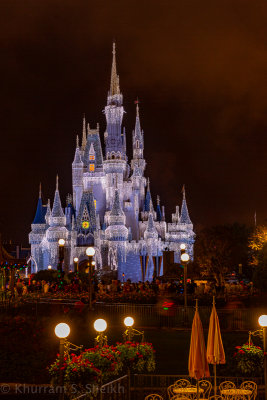 2012 Disney World-_I2C0022.jpg
