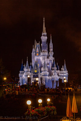 2012 Disney World-_I2C0025.jpg