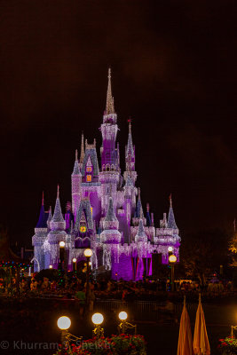 2012 Disney World-_I2C0030.jpg