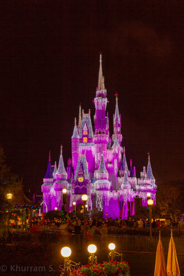 2012 Disney World-_I2C0046.jpg