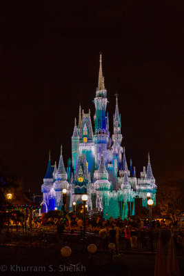 2012 Disney World-_I2C0052.jpg
