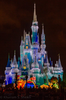 2012 Disney World-_I2C0061.jpg