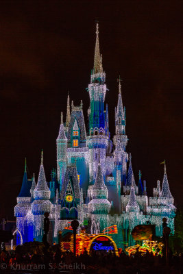 2012 Disney World-_I2C0063.jpg