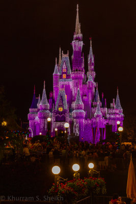 2012 Disney World-_I2C0096.jpg