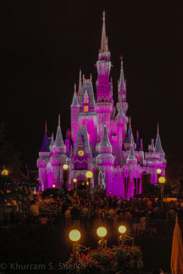 2012 Disney World-_I2C0099.jpg