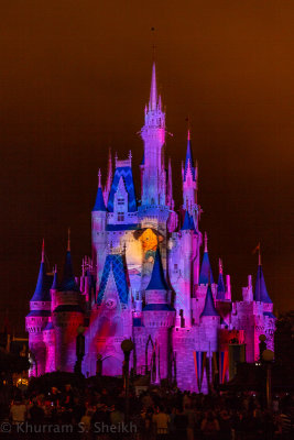 2012 Disney World-_I2C0113.jpg