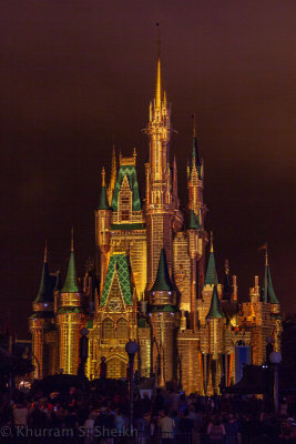 2012 Disney World-_I2C0115.jpg