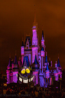 2012 Disney World-_I2C0116.jpg