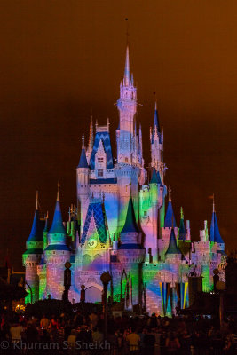 2012 Disney World-_I2C0123.jpg