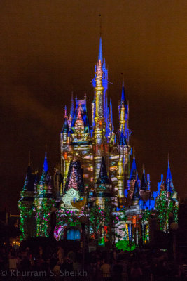 2012 Disney World-_I2C0127.jpg