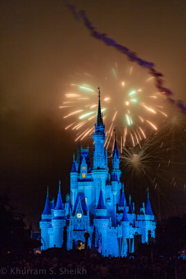 2012 Disney World-_I2C0192.jpg