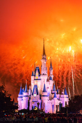 2012 Disney World-_I2C0216.jpg