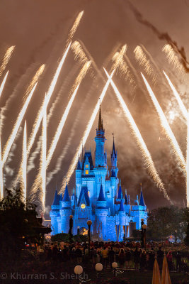 2012 Disney World-_I2C0286.jpg