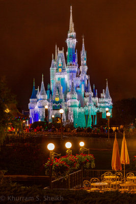 2012 Disney World-_I2C9981.jpg
