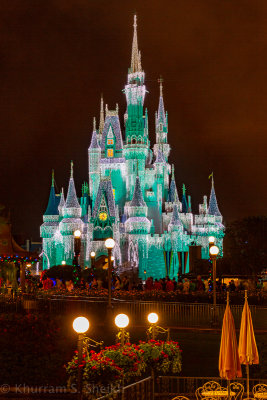 2012 Disney World-_I2C9983.jpg