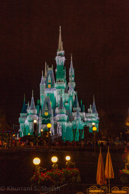 2012 Disney World-_I2C9986.jpg