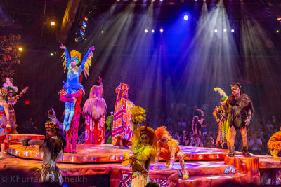 2012 Disney World-_I2C9717.jpg