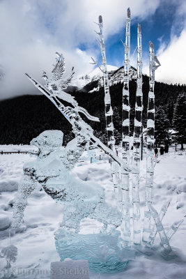 2013 Banff Jan-_32Q2611.jpg