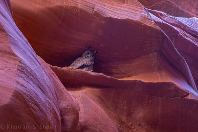 Upper Antelope Canyon, Page, Arizona - December 2014