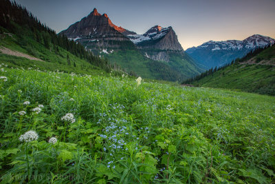 Glacier NP-_I2C4186.jpg