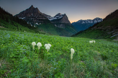 Glacier NP-_I2C4192.jpg