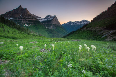 Glacier NP-_I2C4206.jpg