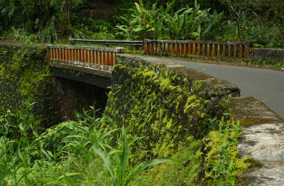 ICR2009_MAUI3677C_BRIDGONHANAHWY1PB.jpg
