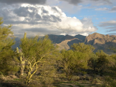 Tucson