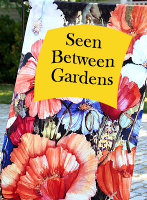Seen between gardens.