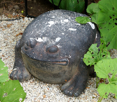 Masonry frog.