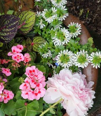 Mixed planter.