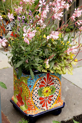 Colorful planter.