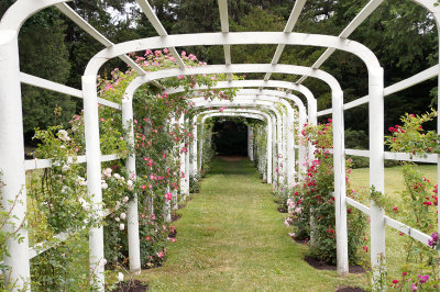 Langdon gardens - arbor.