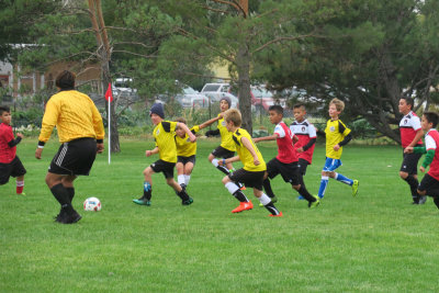 IMG_3297.jpg